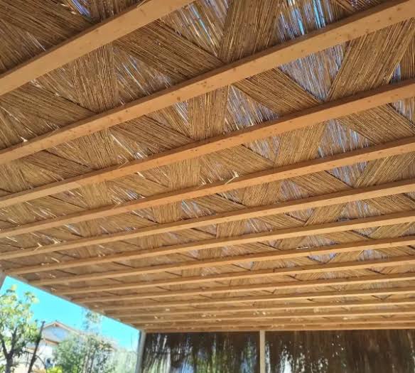 Saz Kamışı Hasır